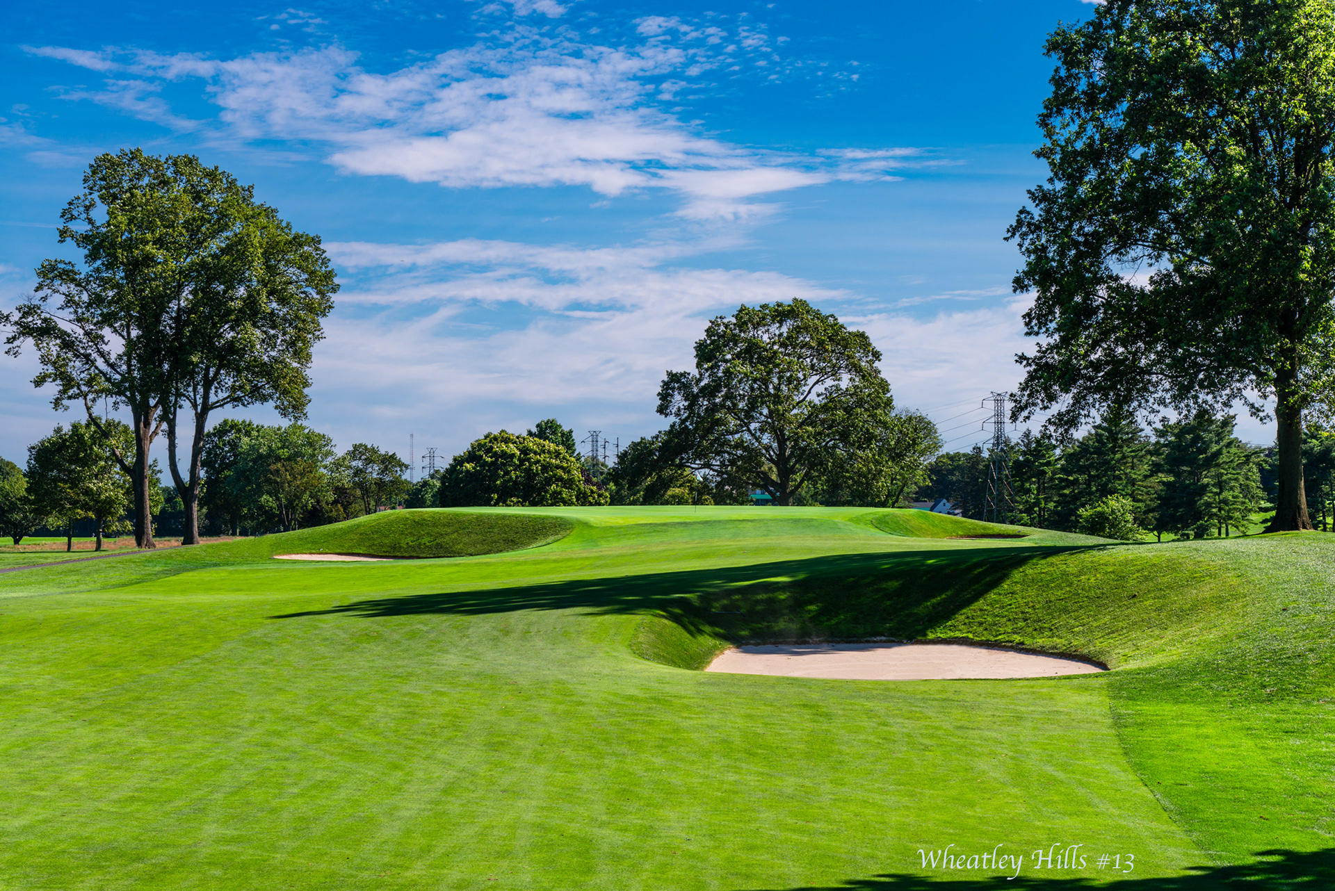 2023 Golf Landscapes-59