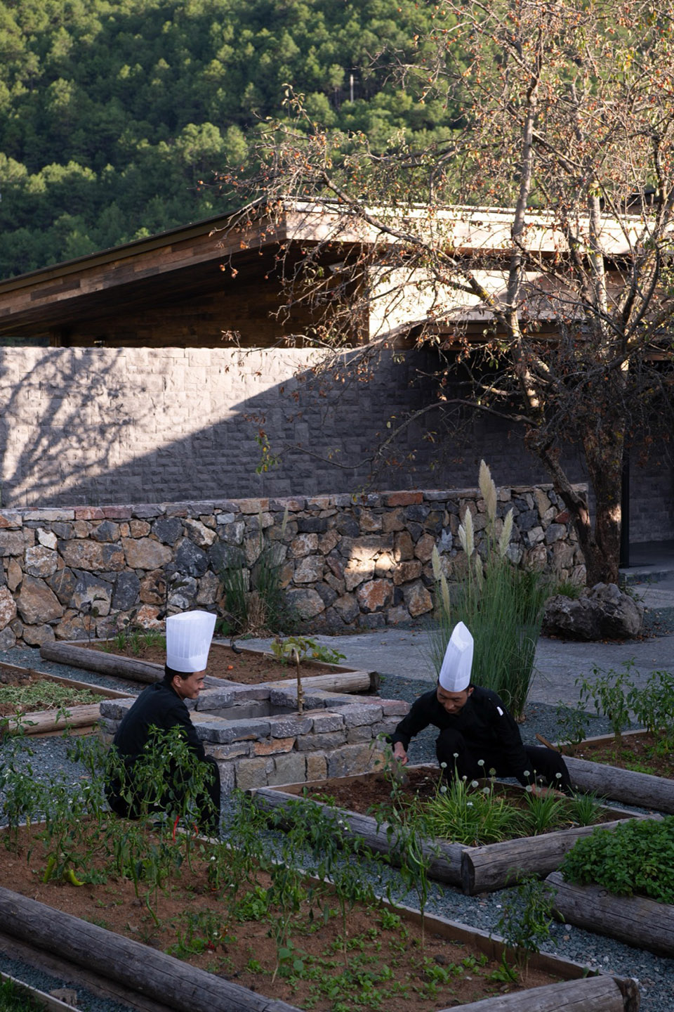 泸沽湖岚岳海子花园丨中国丽江丨Z’scape致舍景观（景观）,尚壹扬设计（建筑及室内）-137