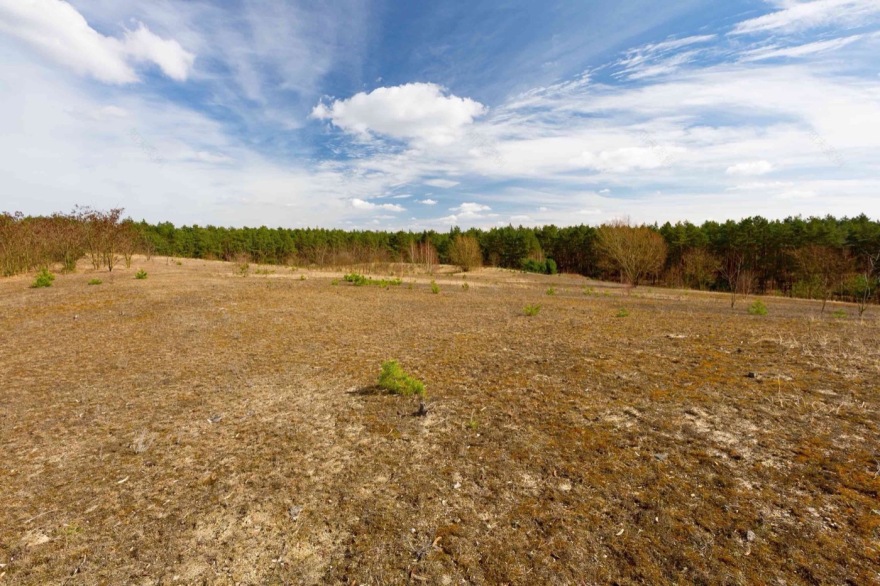 柏林森林中的人工沙丘丨德国柏林丨Gruppe F-9