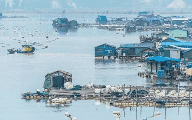 乡野年味浓,回村儿过大年-10