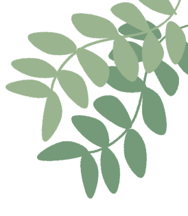 走进大栅栏！从场地记忆视角探索绿色更新策略-123