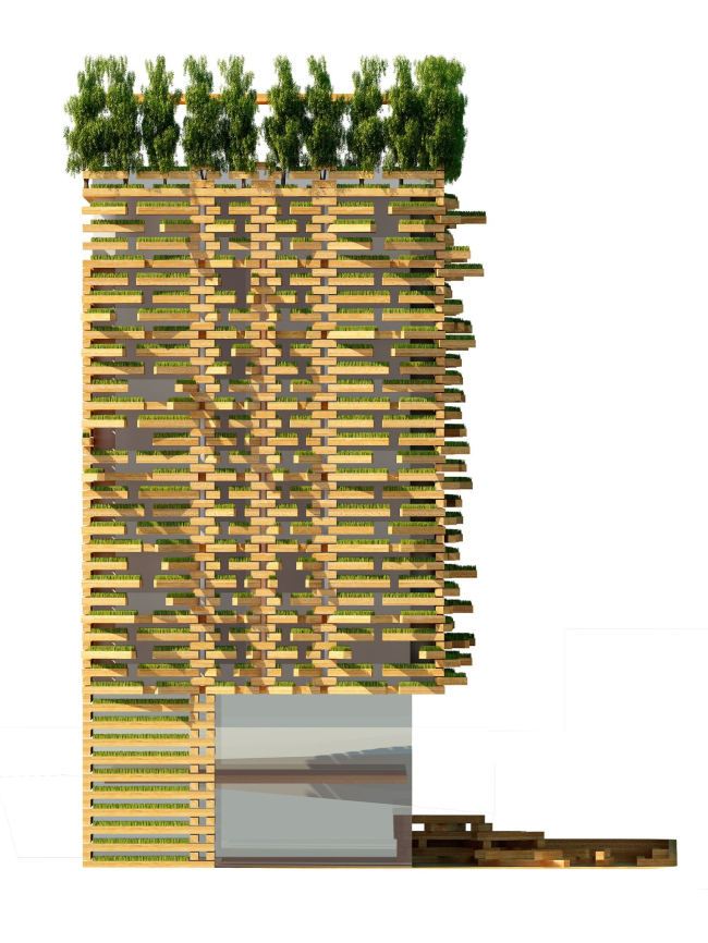 “Сад” 公寓酒店竞赛项目丨罗马尼亚德瓦丨Тотан Кузембаев 建筑工作室-36