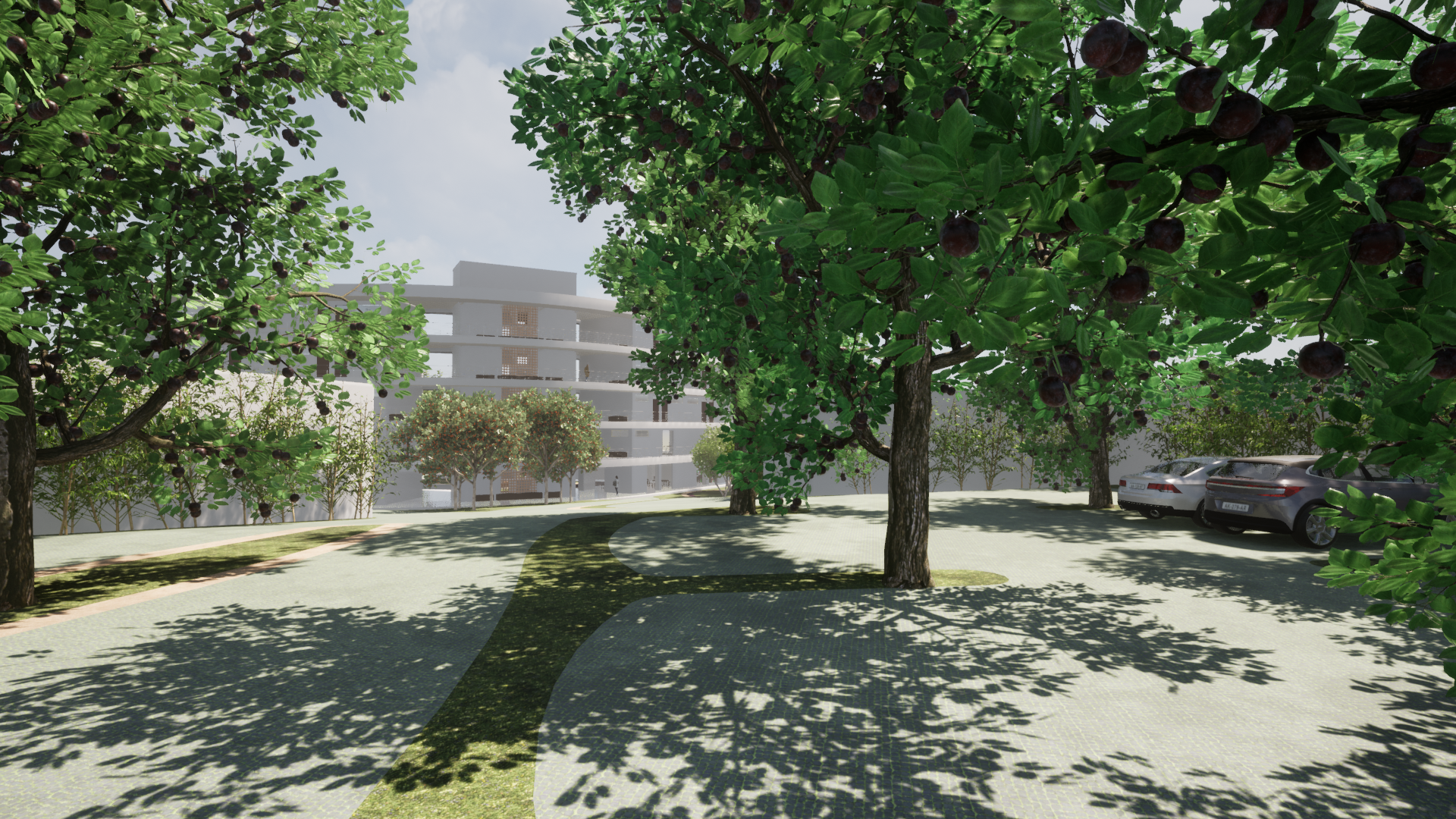 Lar de idosos - São José-12