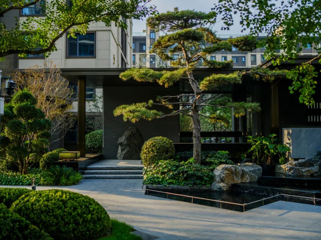 邯郸 · 天正 · 凤鸣九章丨中国河北丨麦田景观-20