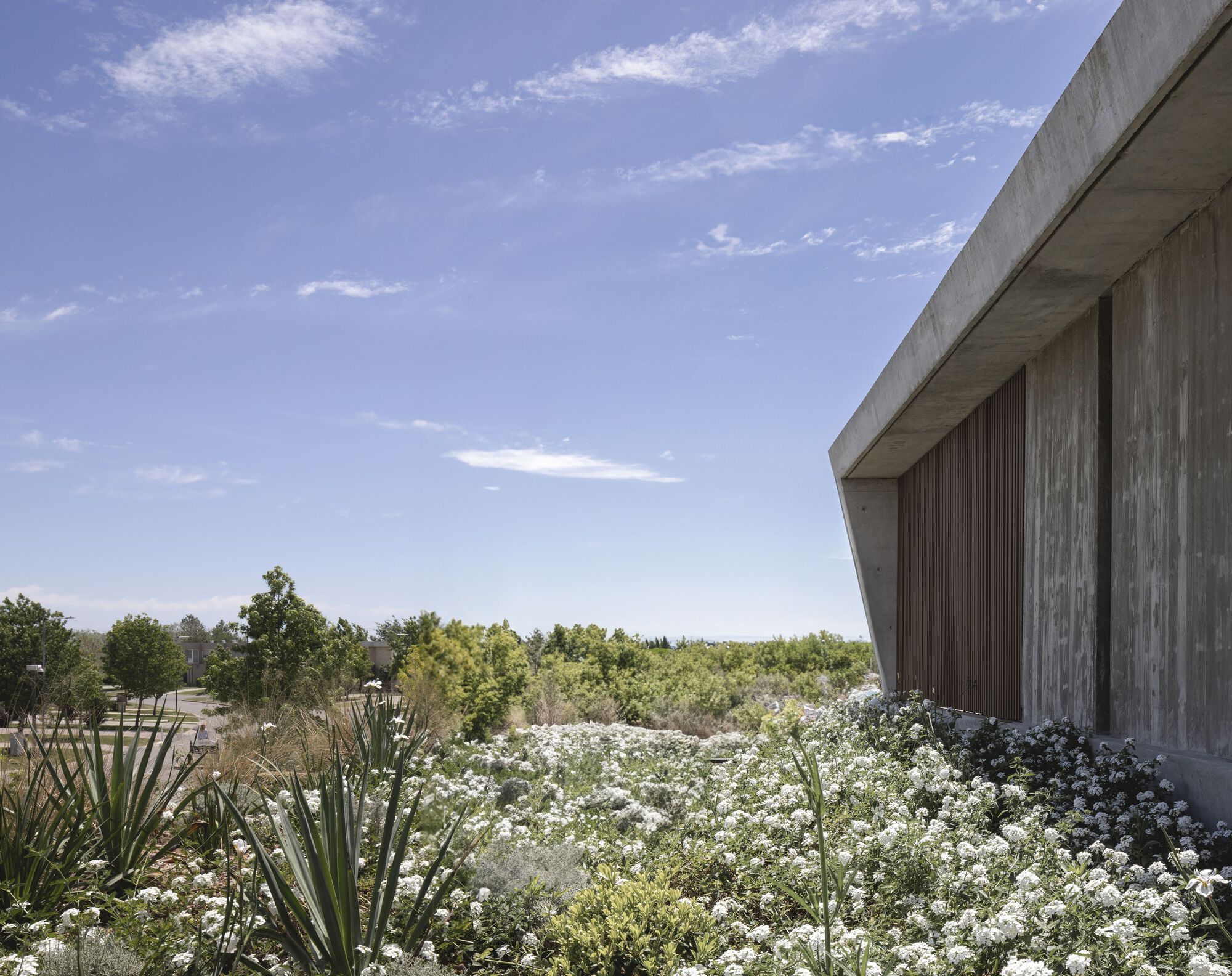 Tamiz 住宅丨阿根廷丨Gonzalo Bardach arquitectura-28