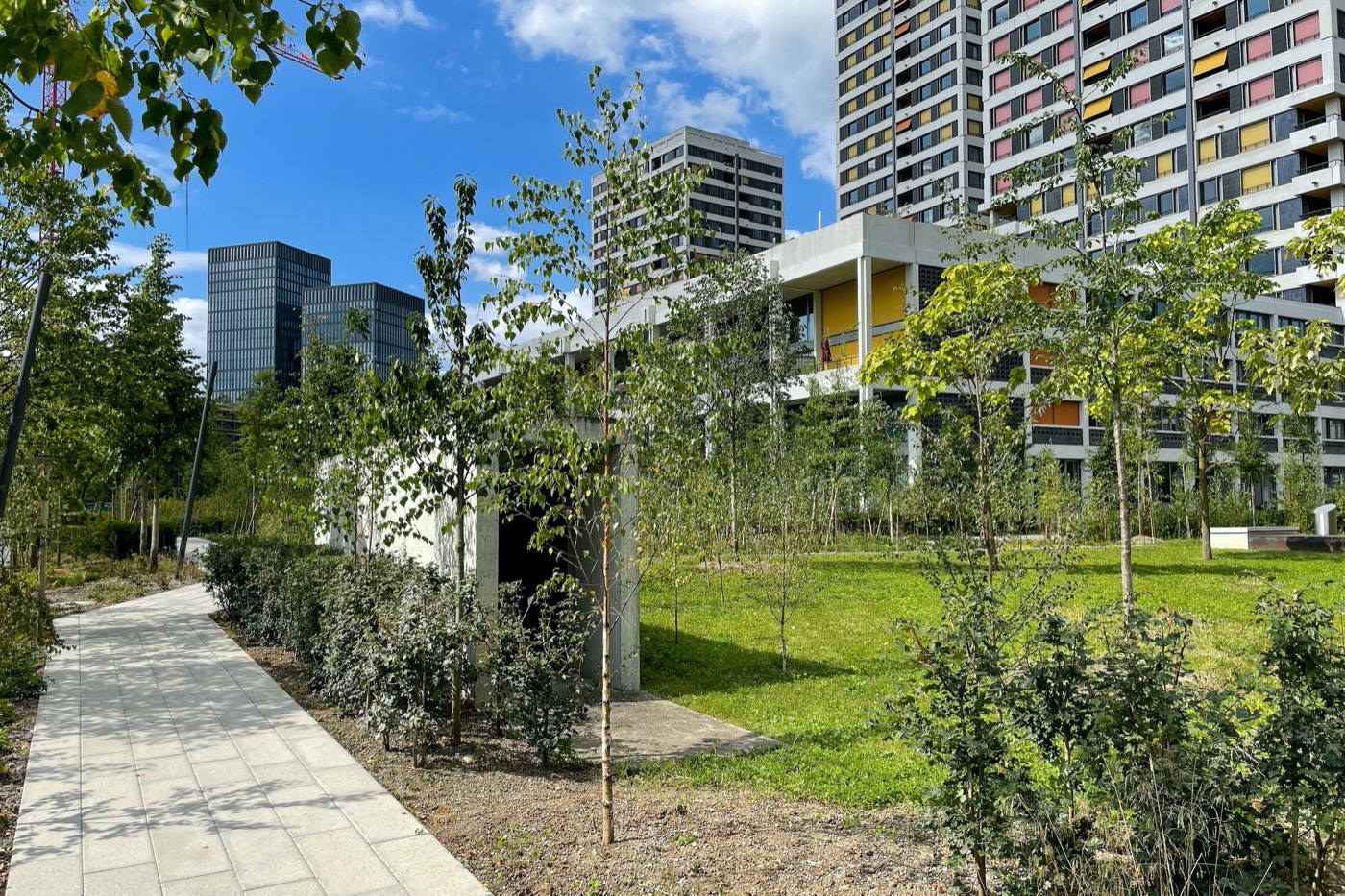 苏黎世“内部花园”改造丨瑞士苏黎世丨mavo Landschaften-10