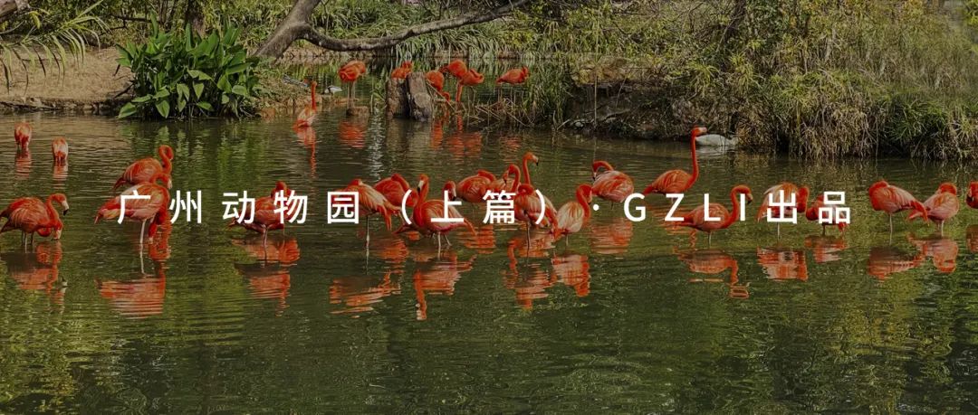 东莞滨海湾文体公园丨萨尔瓦多滨海丨广州园林建筑规划设计研究总院有限公司-75