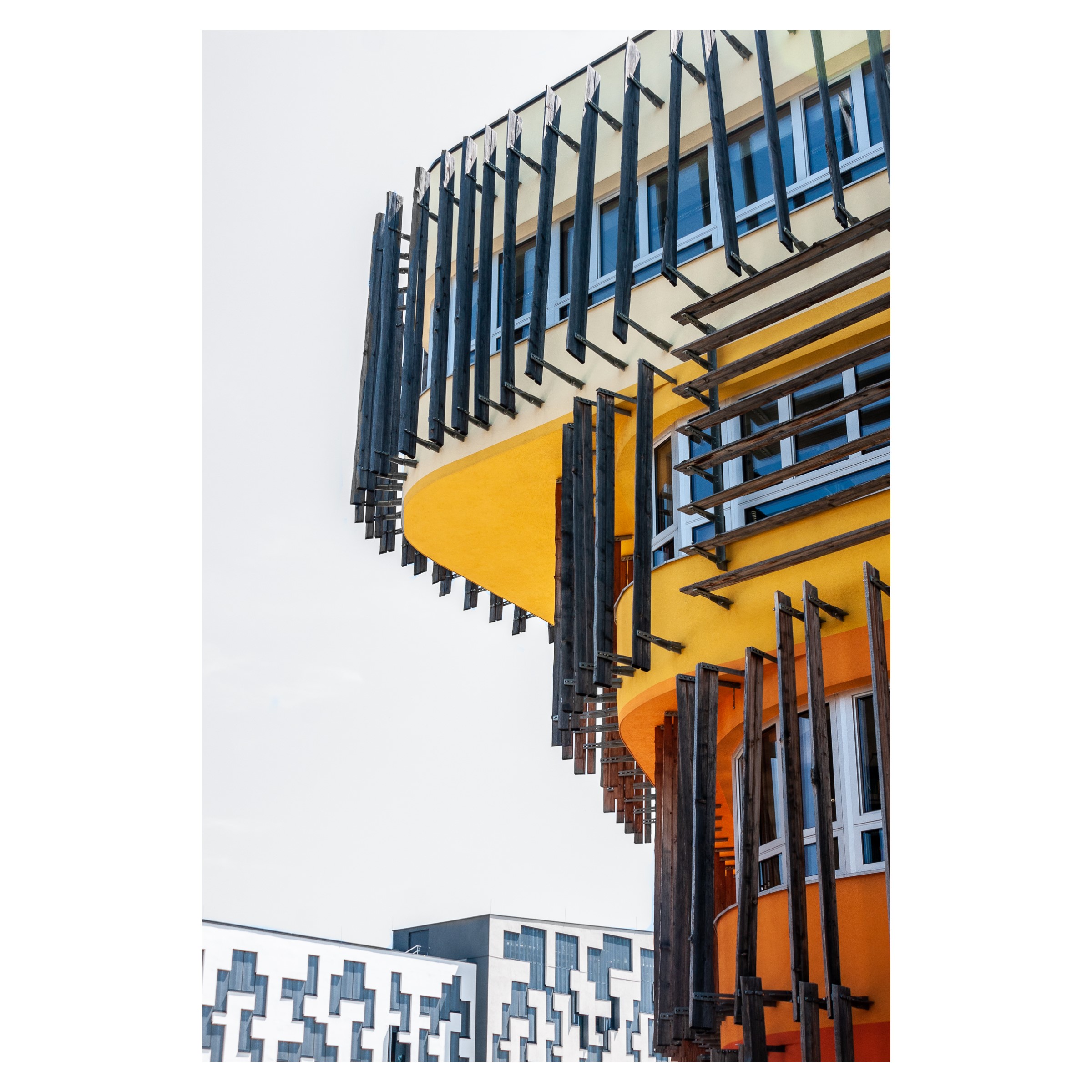 维也纳·照片-10