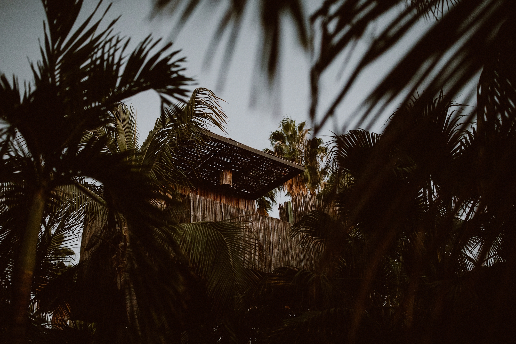 Tree Houses in Acre / FabrikG-31