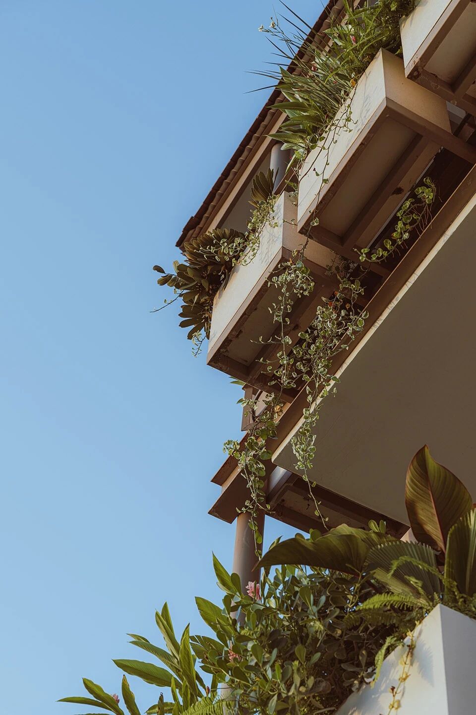 开放的丛林巢穴 Nuri别墅丨哥斯达黎加瓜纳卡斯特丨Studio Saxe-15