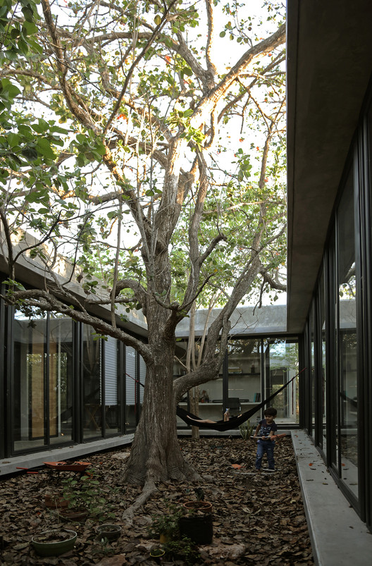 隐秘庭院 · 绿色核心的家庭住宅-19