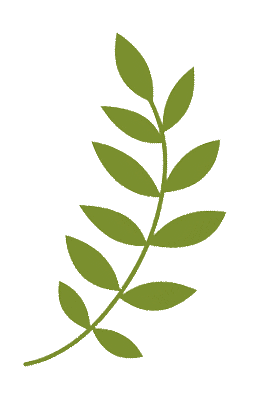 嘉兴首家新物种空间——快来志摩故里共读花厨诗光吧!-13