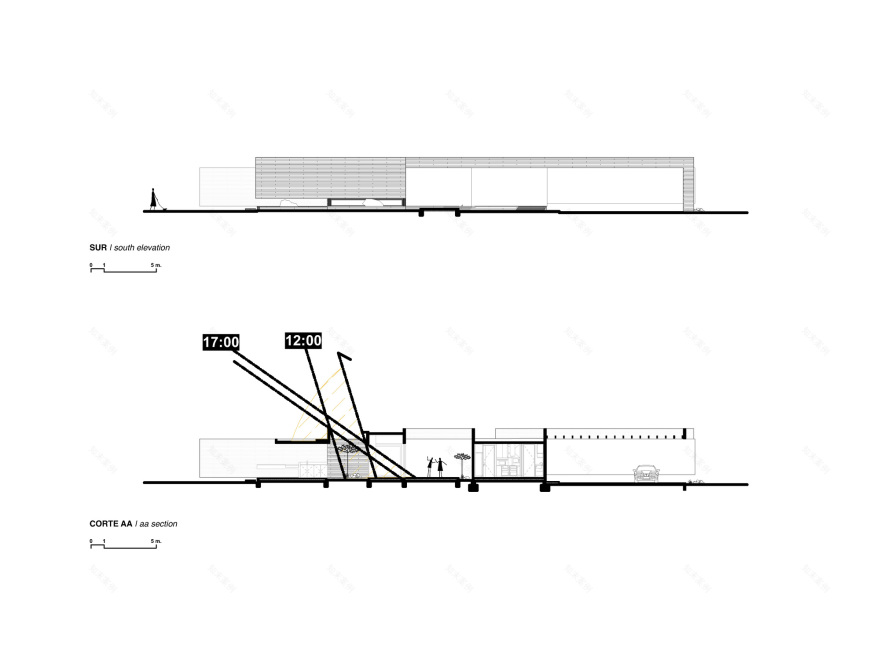 丨智利丨Nicolas Vicente-34
