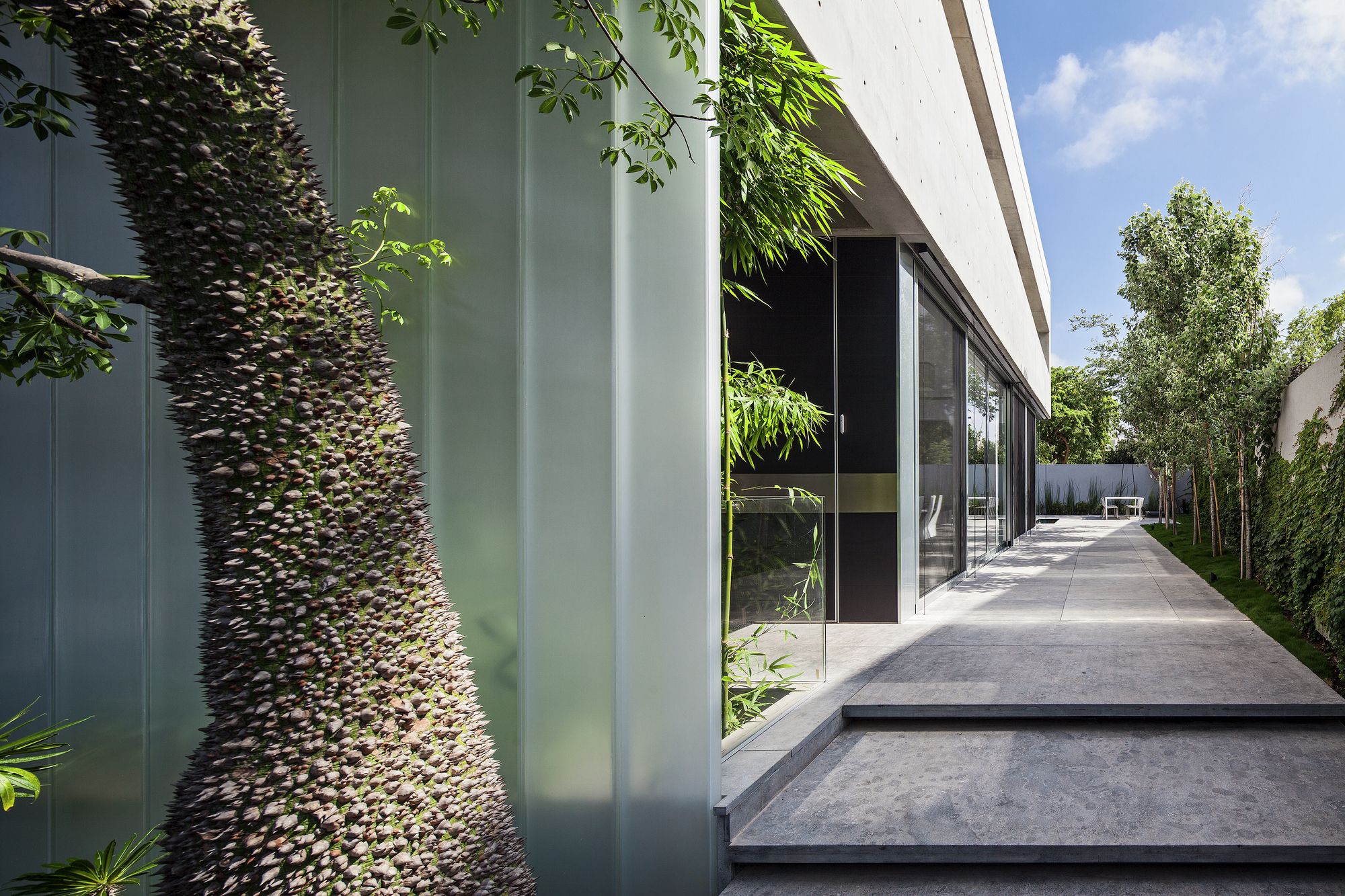 割裂与连接 | 混凝土与玻璃的共生之作-54