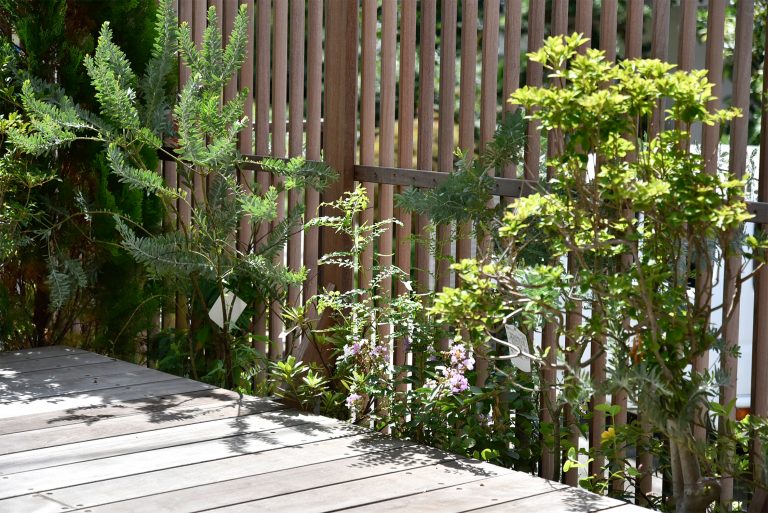 丨こぢこぢ一級建築士事務所-26