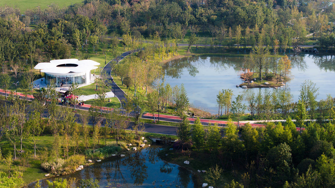 合肥骆岗公园景观设计丨中国合肥丨泛亚景观设计（上海）有限公司-36