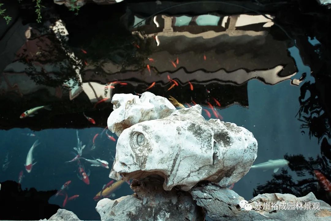 苏州桃坞雅园—芳园 | 园中园的苏式园林艺术-8