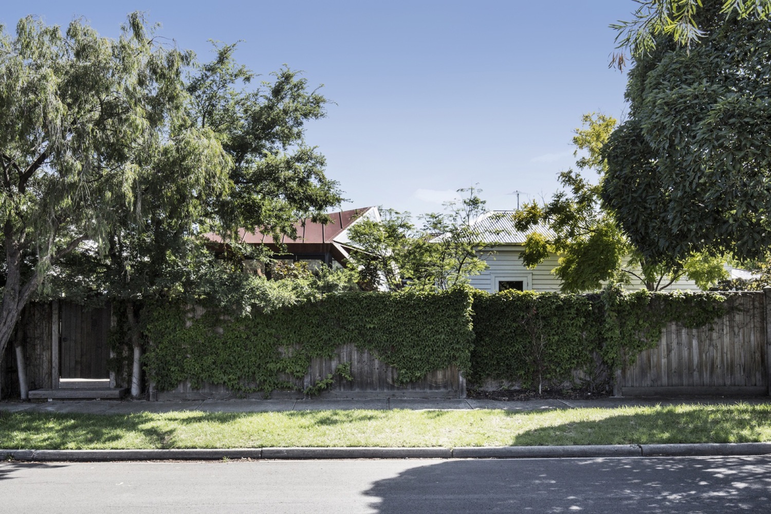 墨尔本郊区“Wheat House”的绿色延伸-32