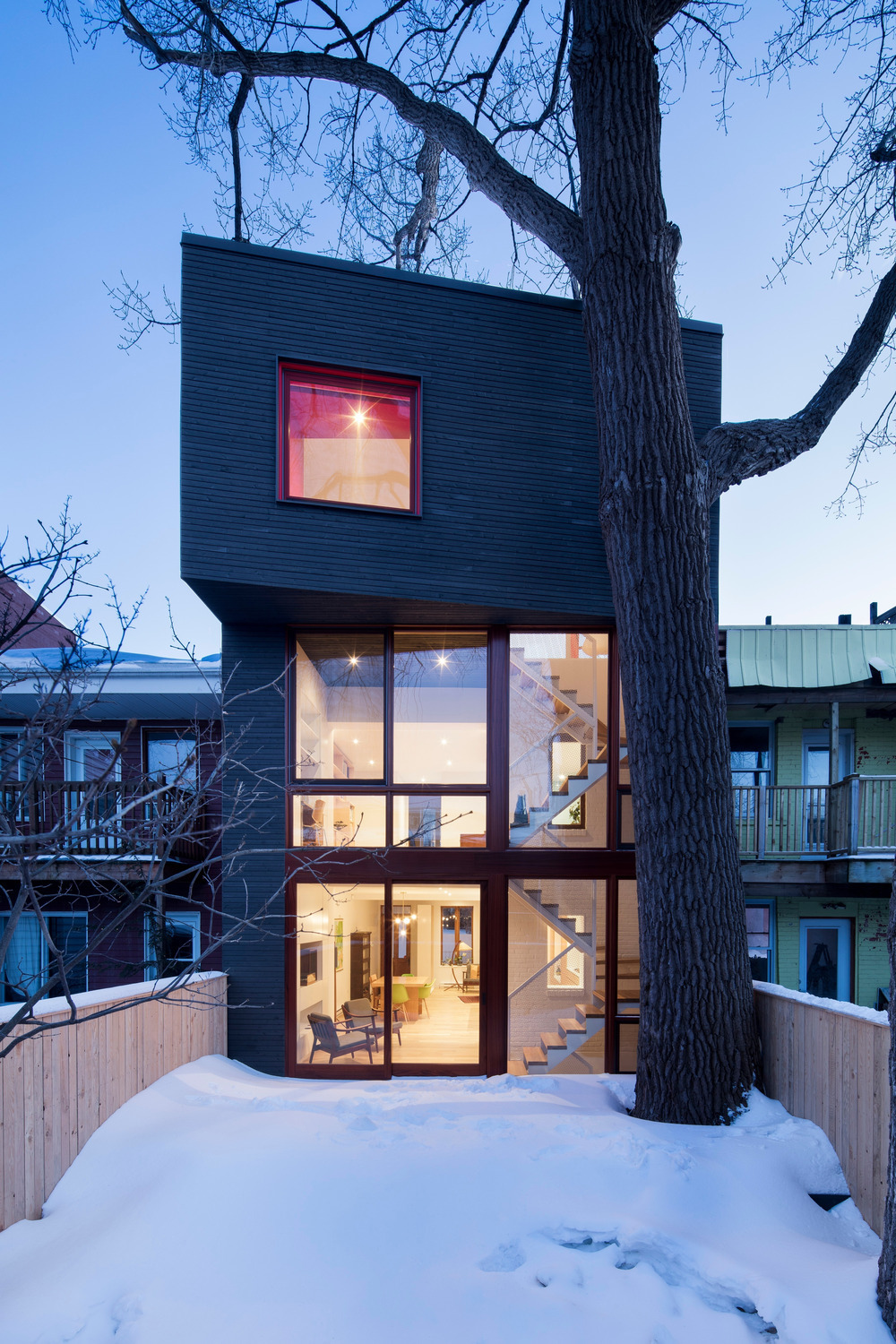 百年老屋与古树的共生对话-14