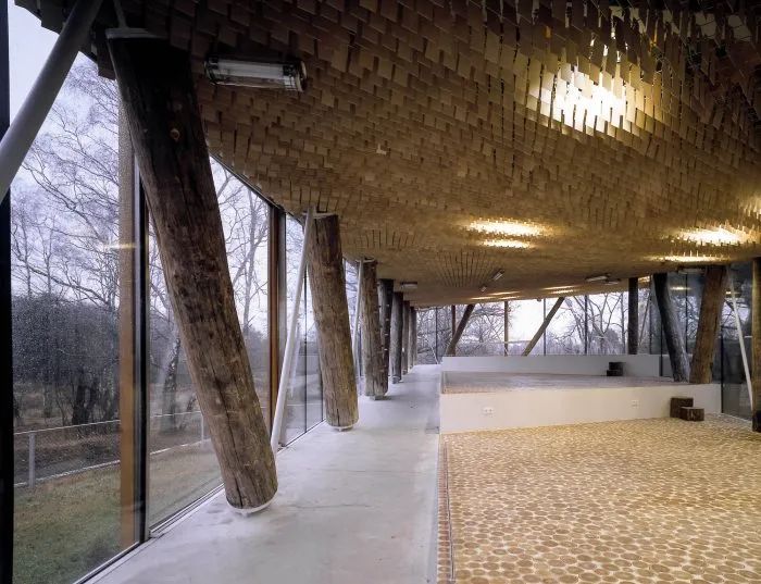 荷兰 Veluwe 国家公园茶馆丨SEARCH-42