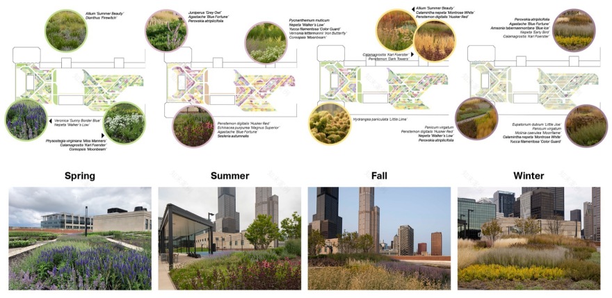 老芝加哥邮局草地丨美国芝加哥丨Hoerr Schaudt-30