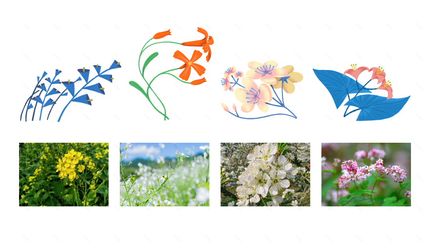 “Mã Đáo Thảnh Thơi”活动视觉设计项目丨Studio Cohe-36