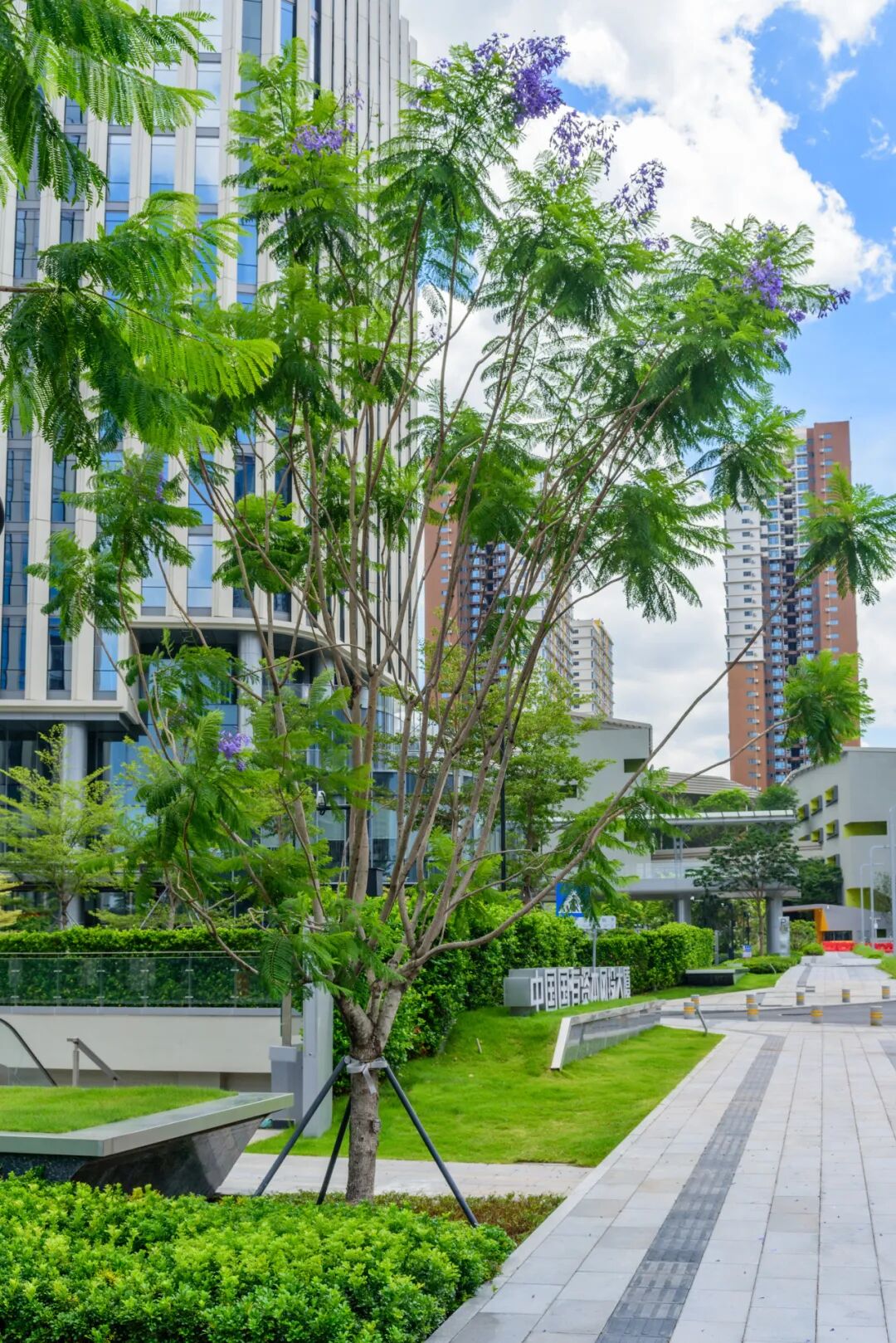 与城市共生，与自然共舞|前海中国国有资本风投大厦-29