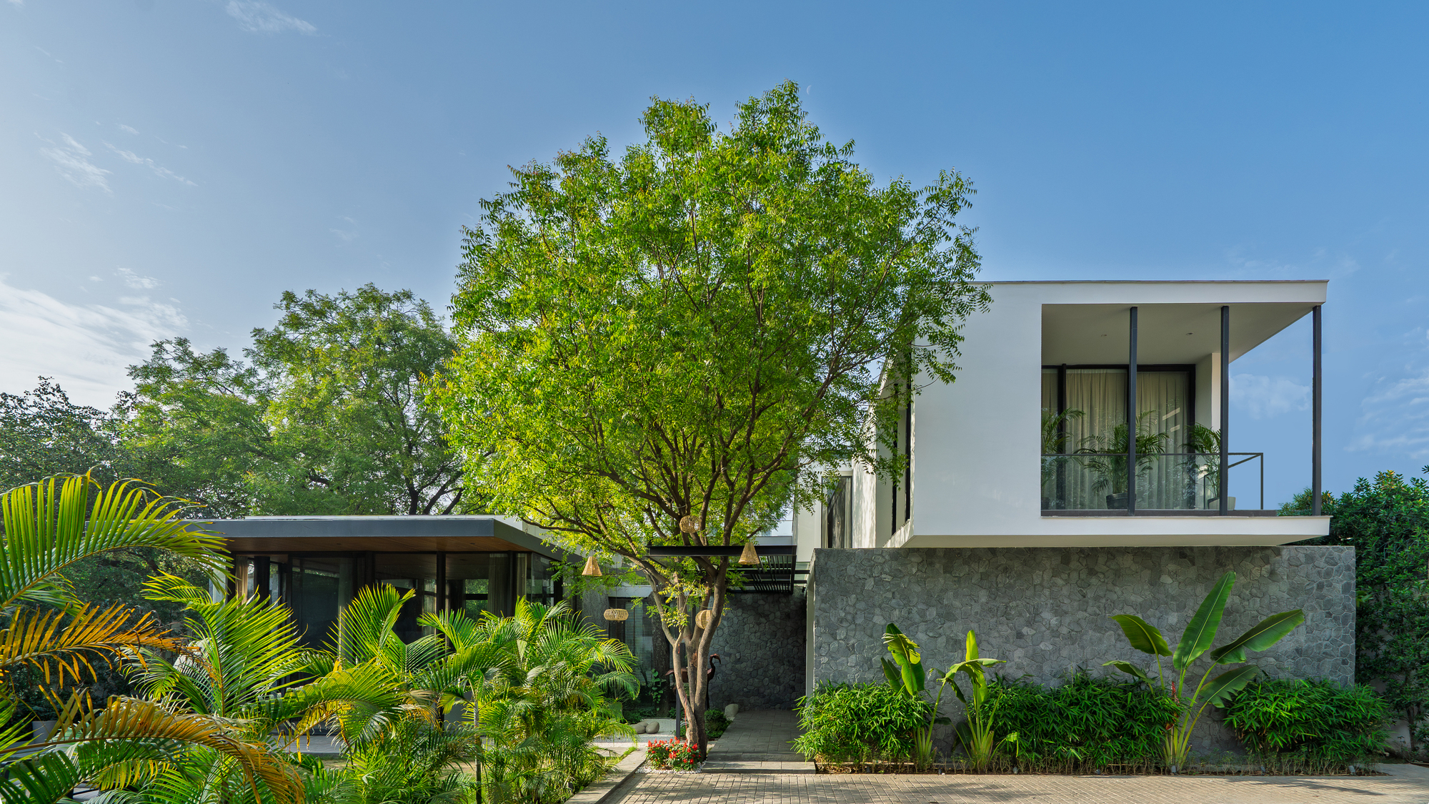 印楝树屋丨印度新德里丨DADA Partners-27