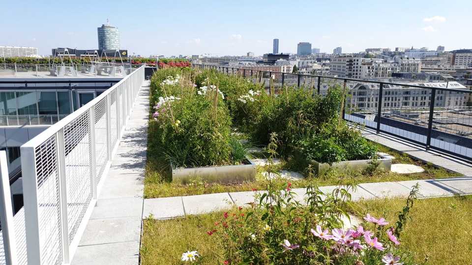 SHIFT 办公综合体-36