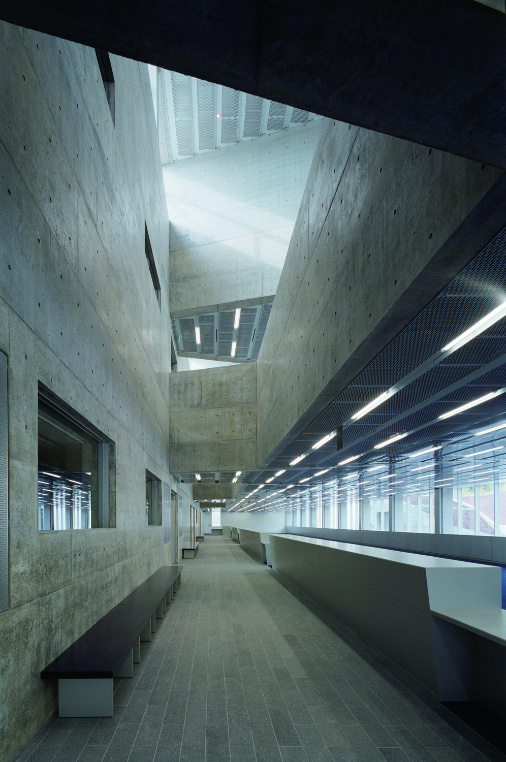 八丈市政府大楼与礼堂-12