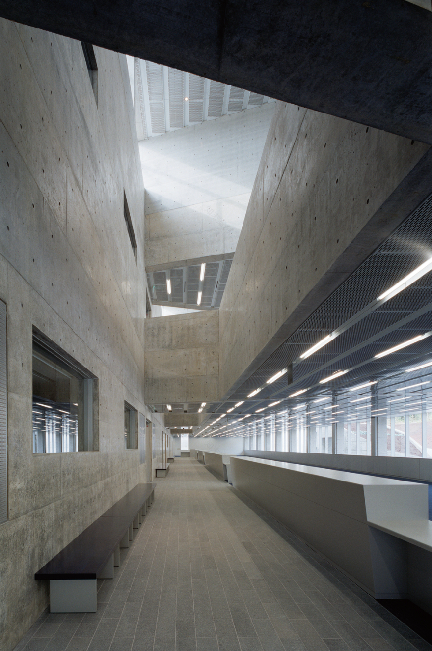 八丈市政府大楼与礼堂-12