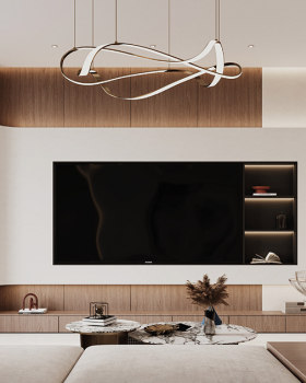 Elegant Modern Living Room