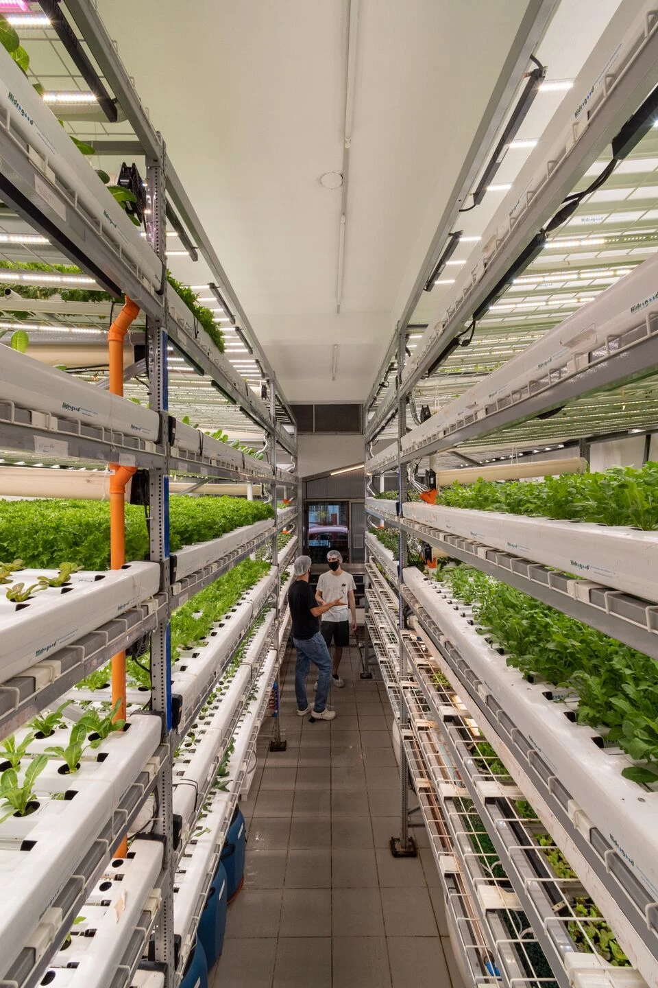 Fazenda Cubo 水培种植丨巴西圣保罗丨Estúdio Lava-21