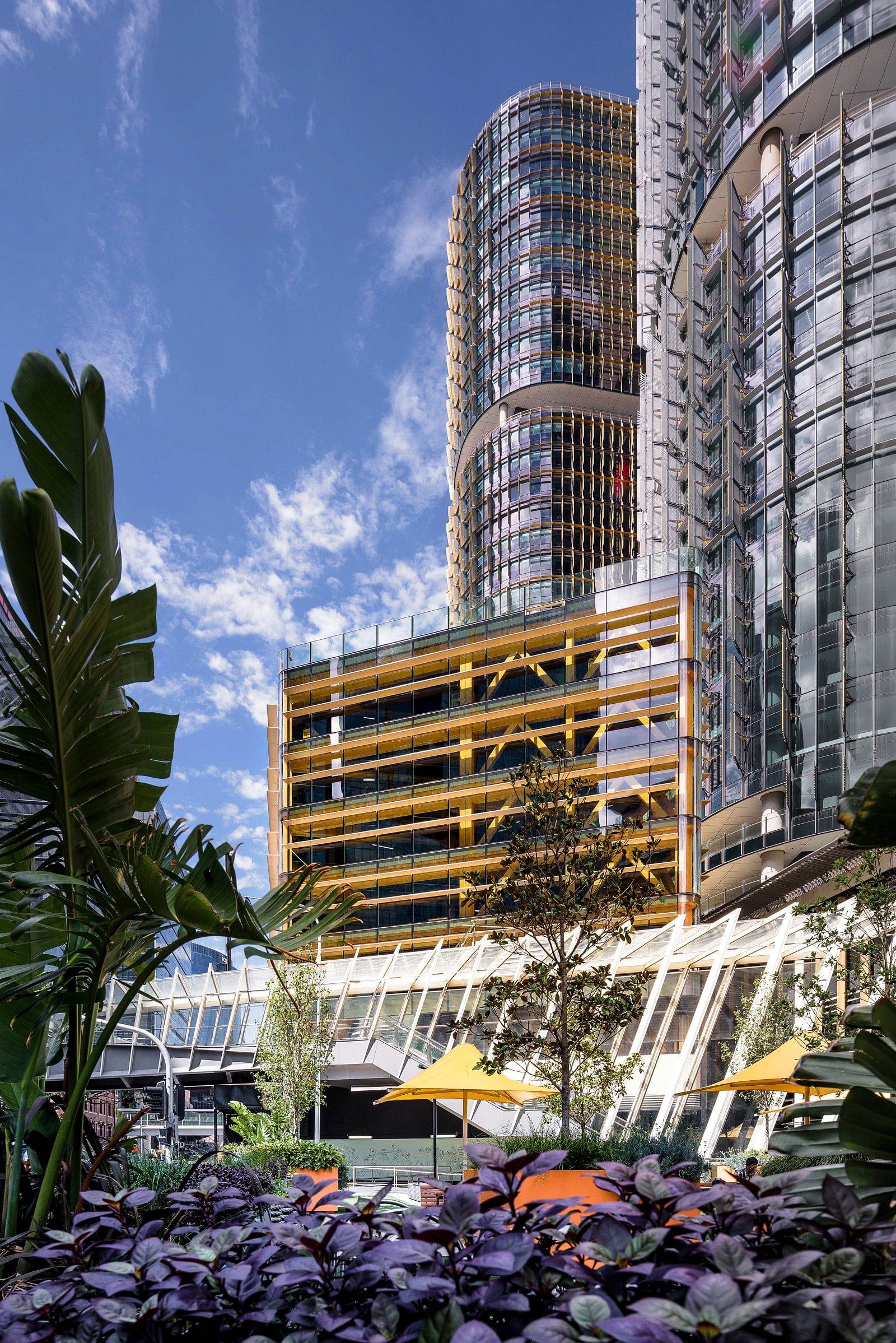 悉尼国际公寓丨澳大利亚悉尼丨Tzannes-25