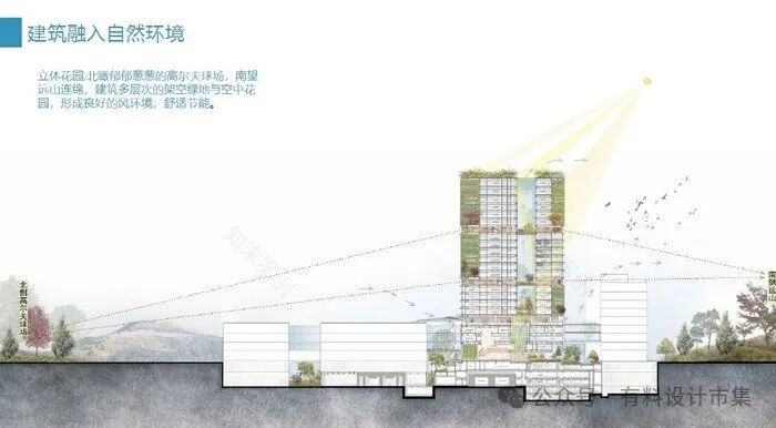 自然情感疗愈生命-22