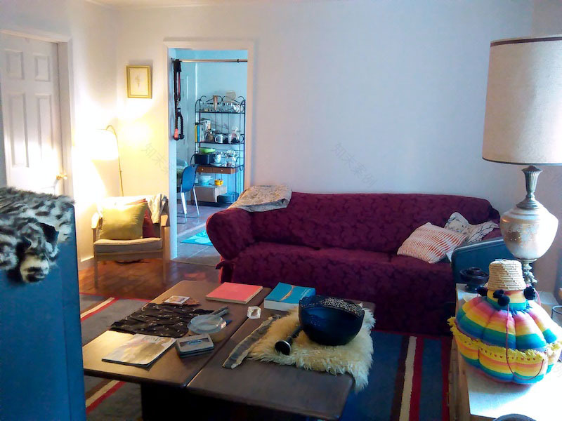 复古复兴 | 19 世纪 50 年代美国宾夕法尼亚州小威尼斯建筑群-91