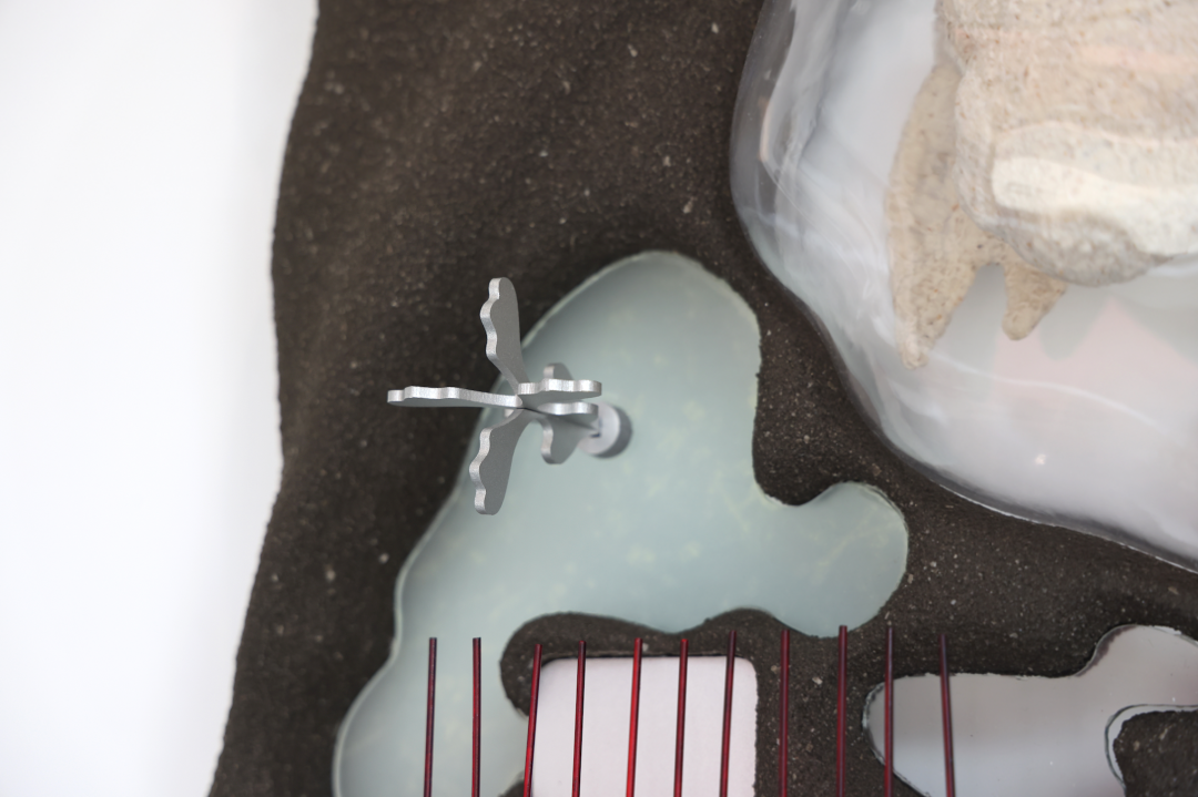 早C晚A|“邵安南：爬行咖啡”展览现场-23