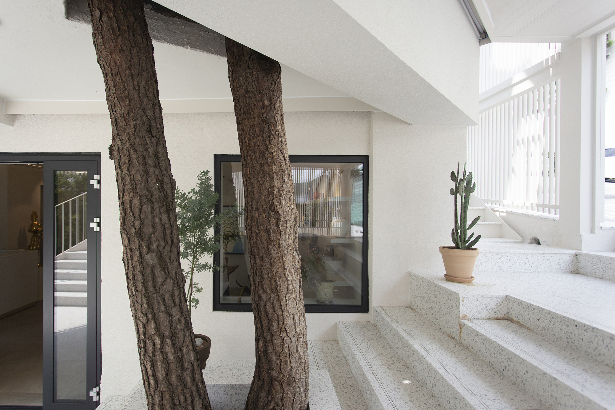 MASS Arts Plastiques Gallery / Form & Function-38