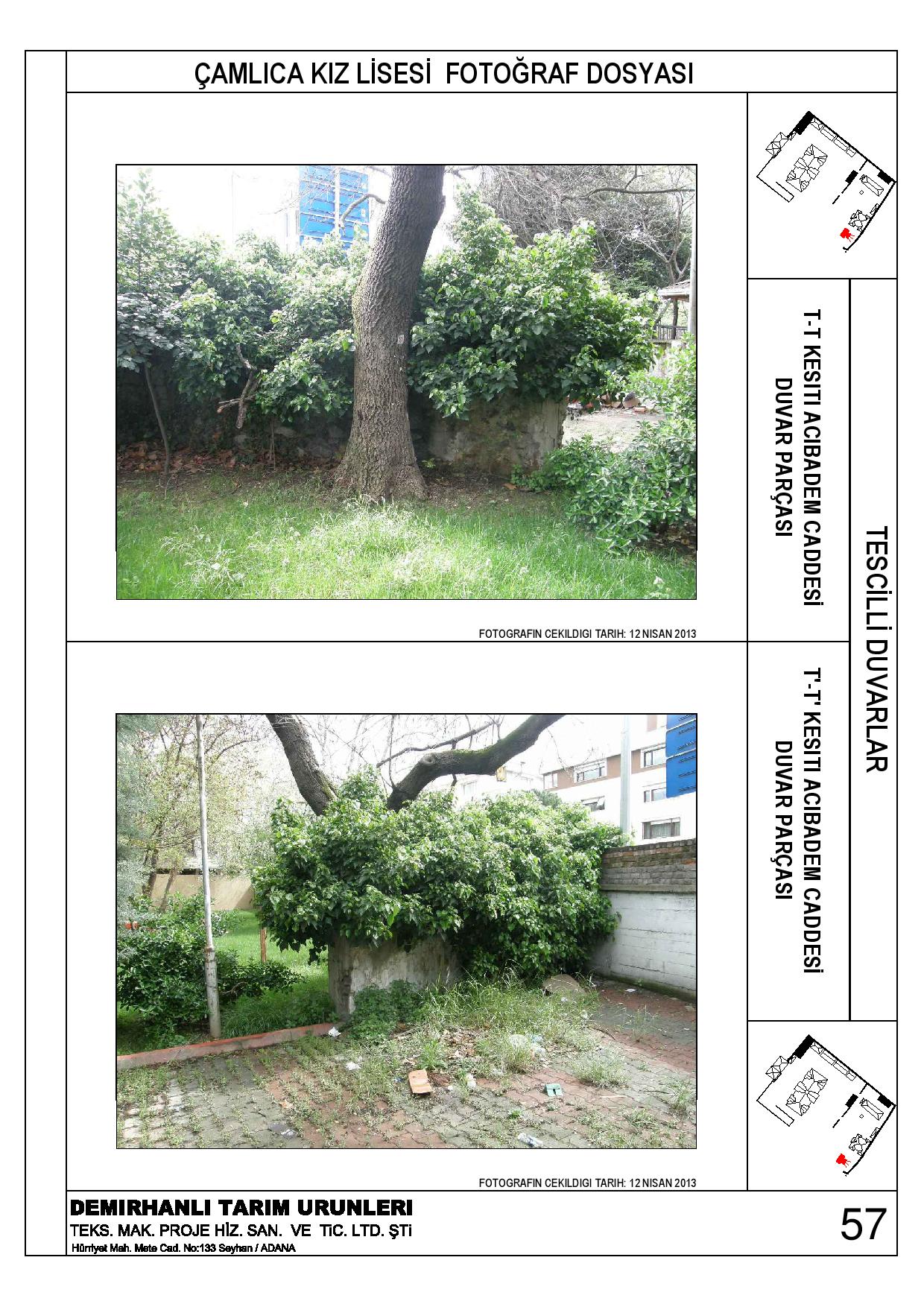 卡米卡高中历史墙保护-64
