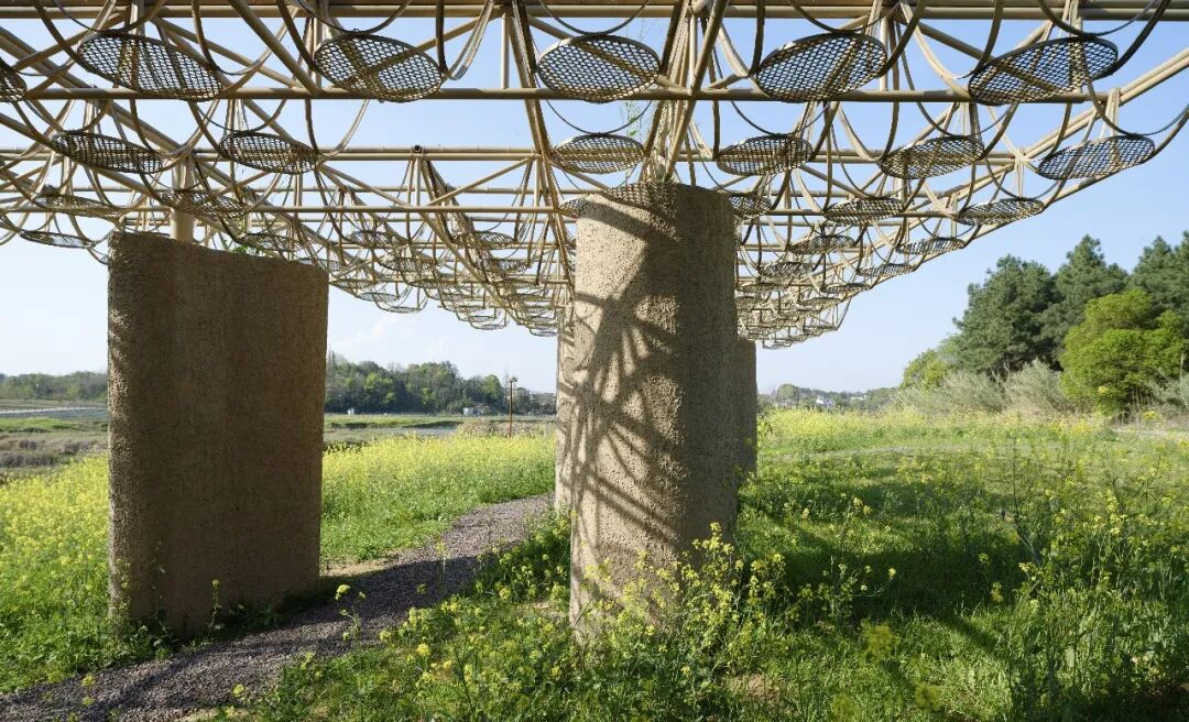 湿地洞窟配套驿站丨中国衢州丨Studio 10-61