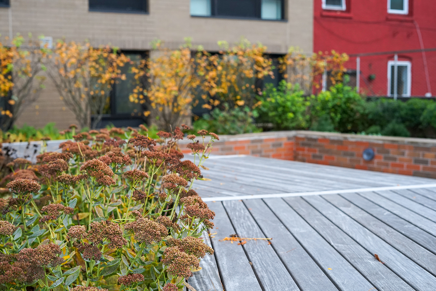 695 Grand Street | terrain-nyc-11