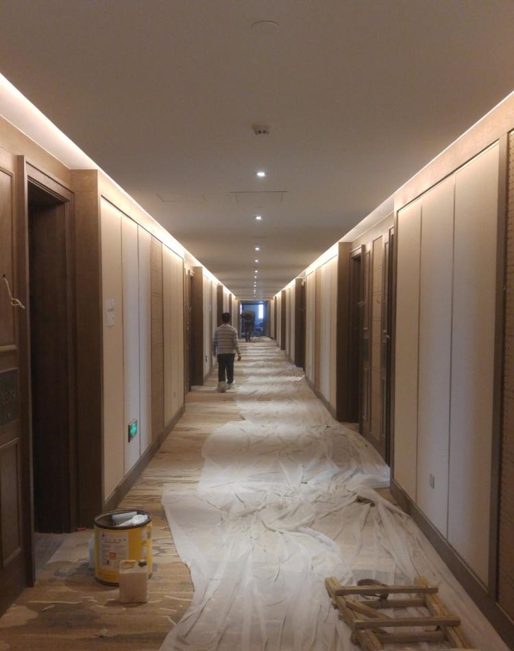 鲁能文安酒店-12