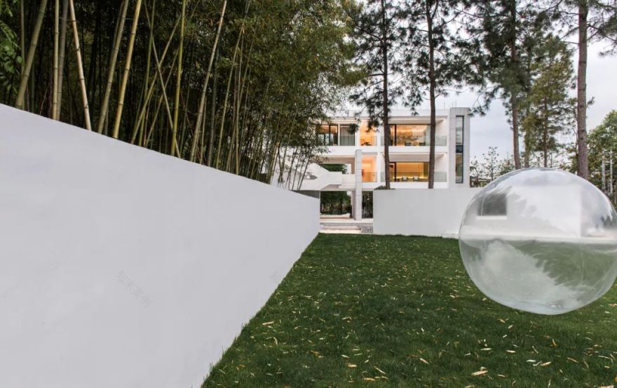 莫干山秘境杉林,尽享自然之美-39