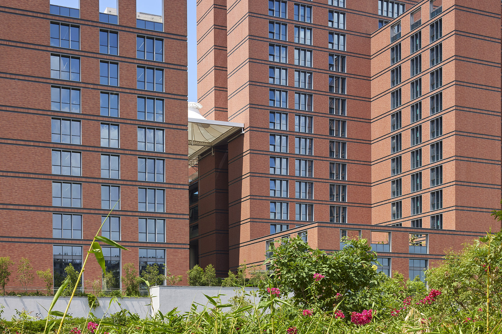 Wipro办公园区丨印度丨Morphogenesis-5