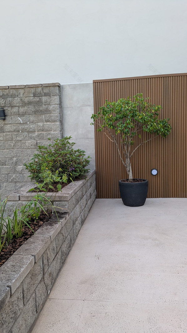 博尼法西奥项目-7