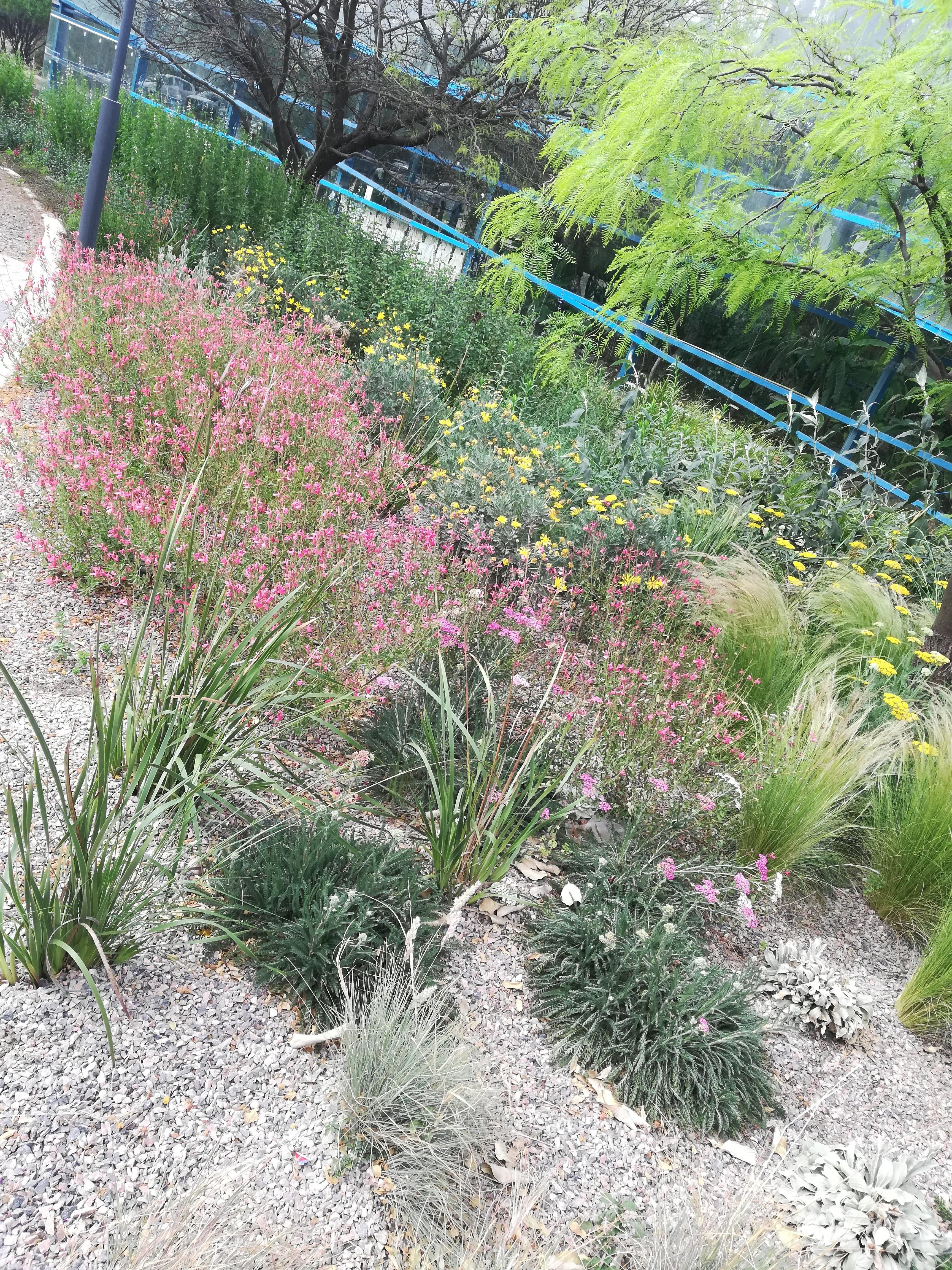 Jardín Botánico CBA, AR-4