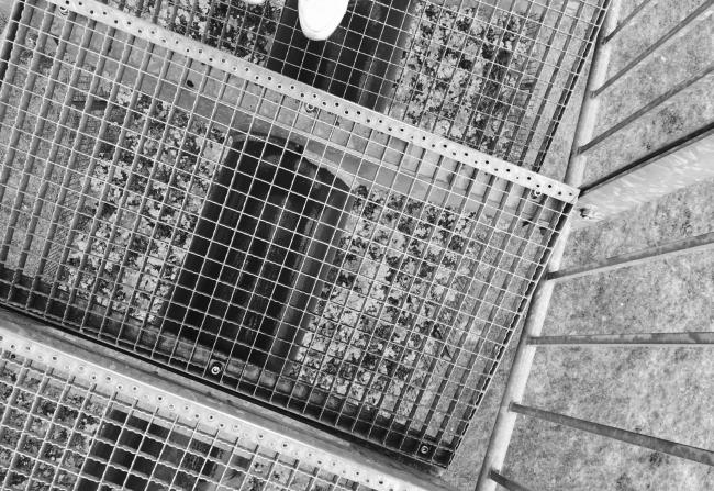 “老虎与乌龟”丨德国丨德国艺术家乌尔里希·根茨和海克·穆特-18