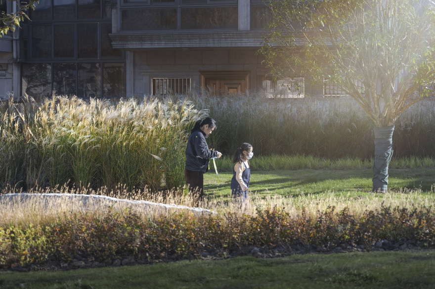 新场后花园更新设计丨中国上海丨UDG联创设计 RE·D 城市更新设计研究院-36