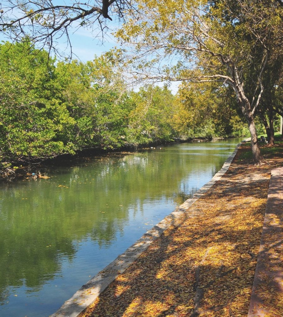 迈阿密南海滩气候适应公共空间设计丨美国迈阿密-9
