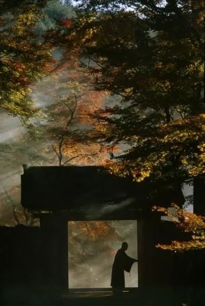 品辰企划部本月书单推荐-30